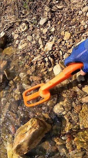 River Treasure 👑 Found a Beautiful Jewel with Metal Detector #shorts #metaldetecting #treasure