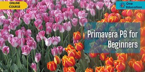 Primavera P6 for Beginners