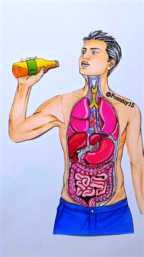 Boys stop drinking and save your life #art #motivation ##inspiration #animasyon #fyp