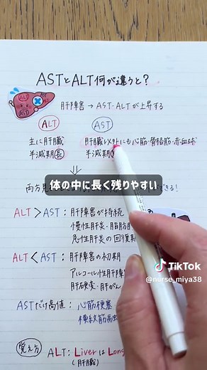 @nurse_miya38 👈若手看護師必見！！ ⁡ ASTとALTどっちも肝機能を表す検査値ってことは知っとるけど、正直どう違うんかわからん、、 って思ったことない？？🥹 ⁡ 今回はその２つの違いについてまとめたよ😊 ◯ALTは主に肝臓由来で、半減期が長い ◯ASTは肝臓以外にも、心筋や骨格筋、赤血球にも由来していて、半減期が短い ⁡ 両方の検査値を追うことで、患者さんが今どう言う状態なのか、深くアセスメントできるようになるよ✨ ⁡ プレゼント欲しい人は Instagramのアカウントで貰ってね🫶 ⁡ ————————————— ✨はじめまして、みやです✨ ⁡ ・日々の業務に追われて中々勉強ができない😭 ・毎日先輩看護師に怯えながら仕事をする日々... ・自分の看護知識、技術に自信がない🥲 ⁡ こんな悩みを持った若手看護師さんは多いはず。 ⁡ このアカウントでは、病棟3年目までを生き抜くための看護知識を分かりやすく発信しています👌 ⁡ 日々の投稿を見逃さずにチェックしてね😉 ⁡ 今すぐフォローする▷ （@nurse_miya38） ⁡ ————————————— ⁡ 