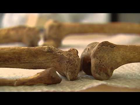 Forensic Archaeology at the University of Leicester