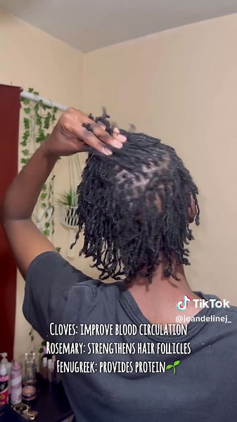 Using Mini Braids for Natural Hair Growth Tips