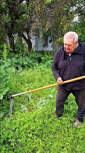 Satisfying Scythe Work #diy #satisfying #scythe #grasscutting #handMowing #outdoorwork #gardening