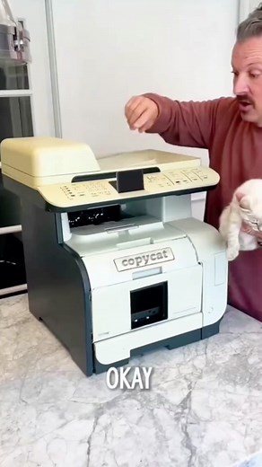 Cat copier#catsoftiktok #catvideo #fyp #cute #cat #funnycat