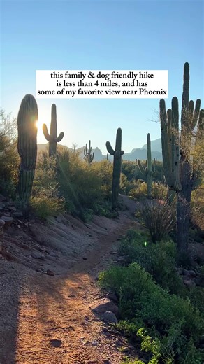 Explore Prospector’s View Trail: Family & Dog Friendly