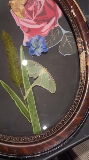 ventige picture frame turned shadow box #936