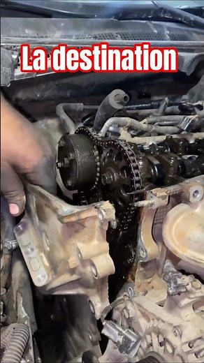 la chaîne de distribution #calage #automobile #moteur #mechanic #distribution #montage #fiat