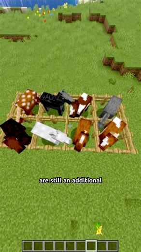 5 Random Minecraft Facts #minecraft #minecraftshorts