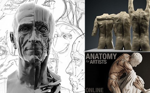【Zbrush】Scott eaton 人体解剖雕刻教程（三套合集）(中英双字)