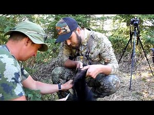 How To Skin A Bear For A Rug