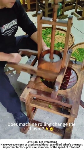 Traditional Tea Rolling – Hand‑Pushed Wooden Mill Shapes Fresh Leaves 🍃