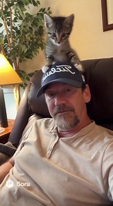 Cat on the hat😀 | Robbie The Problem Cat