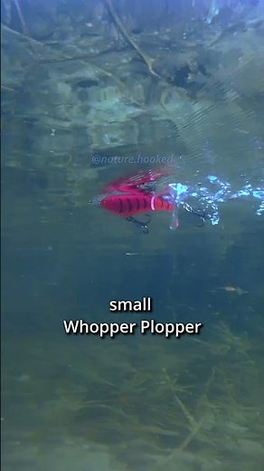 Pick Your Top Perch Lure 🎣 | Underwater View #naturehooked