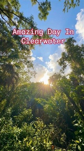 awesome day in Clearwater Florida