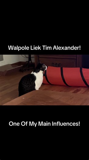 Tim Alexander: Influential Drummer in Progressive Rock