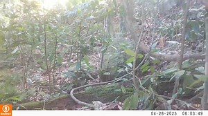 40K views · 267 reactions | Safe Routes, Common Grounds: How Two...