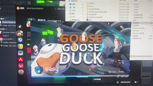 鹅鸭杀启动错误