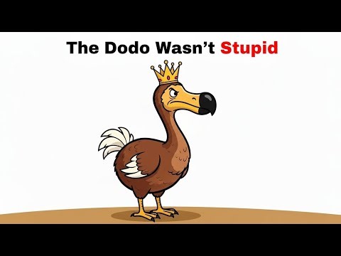 The Dodo wasn't stupid, We were.