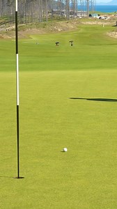 This course was pure! #golf #golfswing #sports #golflife #golfers #golfing #golfclub #sport | Zac Radford