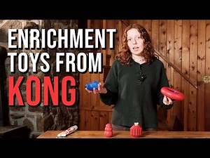 Keep Your Dog Busy with KONG Enrichment Toys | J&J Dog Supplies