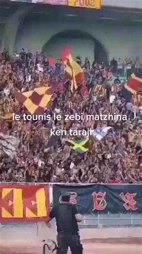 Exciting Stadium Crowd Cheering for the Match