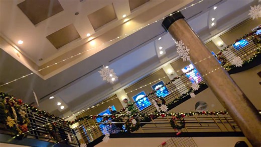 Natalie Turnquist Lilyblad on Reels