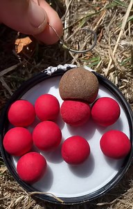 Easy carp rig for beginners