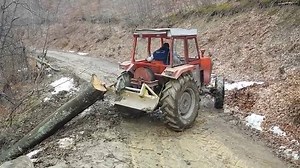 IMT 560 DW Luri wood extraction | Magic