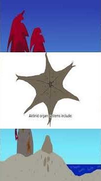 Alien Overview: Aktinids #alien #worldbuilding