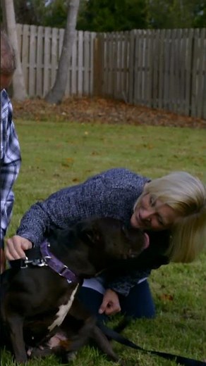 Sweet Girl Meets Her New Parents! | Pit Bulls and Parolees | Animal Planet