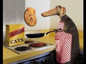 Youtube Poop: Poop Explosion!