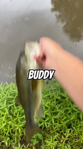 Do BASS Eat BEAVERS | Vincefishing