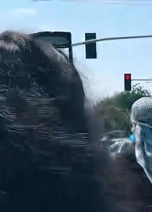 Tens4 la situación en Paramount California por operativo del ICE | Agencia Michoacana Información y Análisis