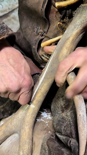 Ancient Skills: From Stone to Bone in Prehistoric Technology