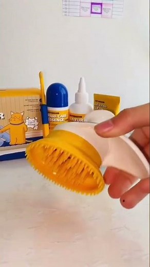 Tips For How To Bathe Your Cat
