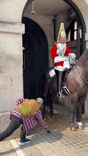 77K views · 693 reactions | Youtuber Abdullah Vlogs Puts Fallen Money Back Into The Kings Guards Boot #lifeguards #MonopolyGo #kingsguard #loveislove #PoolPanic | Peter Record | Facebook