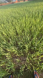 Crime Justice on Reels