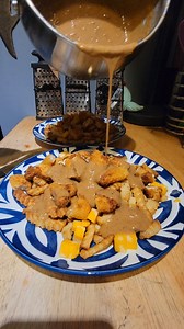 66K views · 6.6K reactions | I am tired...you make the sounds#rawr #dinner #poutine | Nofancyhit | Facebook