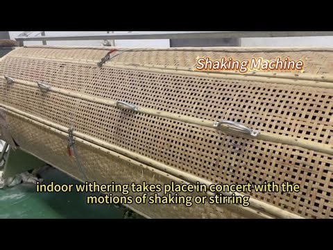 Shaking Machine 攪拌機