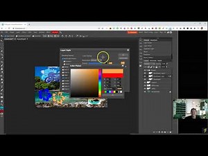 PS20: Basics Review Hawaii Activity