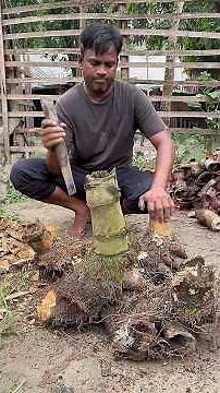 Watch a Bamboo Root Turn into a Beautiful Water Glass Showpiece 😱🎋 #Amazing