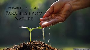 The Parable of Jesus : Parables in Nature Video Post