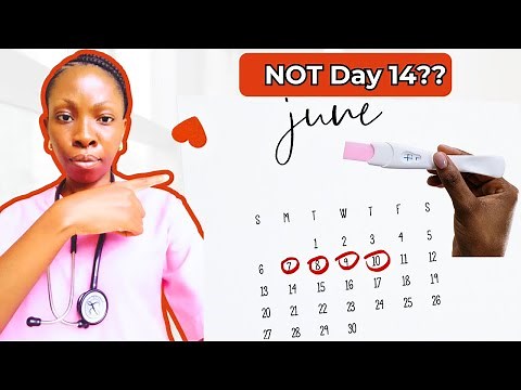 The Best Days to Get Pregnant in Your Menstrual Cycle — Doctor Explain Fertile Window