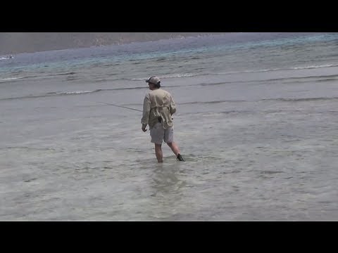 DIY Flats Fishing in St John's USVI - Technical Fisherman Travelogue Series