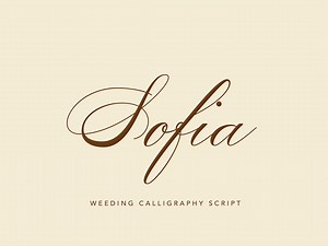 Sofia Elegant Wedding Calligraphy Script: Canva, Cricut, Invitation, Logo, Branding, Procreate Font - Etsy
