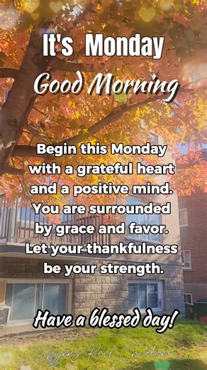 6K views · 127 reactions | Good morning. It's Monday Begin this Monday with a grateful heart and a positive mind. You are surrounded by grace and favor. Let your thankfulness be your strength  Everyday HOPE and Quotes #highlightseveryone #goodmorning #fbreels #morningmotivation #morningvibes #anewday #SpreadPosivity #everydayhopeandquotes #lhynnsreelcreation #lhynndeguzman #lhynnsphotography | Everyday HOPE and Quotes | Facebook