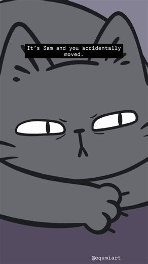 equmi | Meanwhile, I’m trying to stay cool and not to SCREAM!!! 😂🐈‍⬛🔥 . . . . #cattitude #catlovers #catlife #instacat #relatable | Instagram