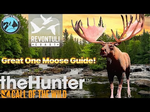 Great one moose guide Revontuli!!!! The Hunter call of the wild