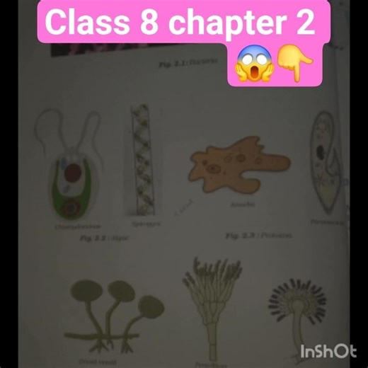 class 8 chapter 2 😱👇