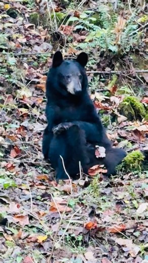 Nancy Gates Mccrum on Reels